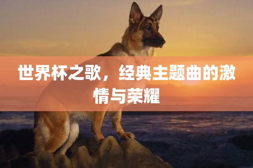 世界杯之歌，经典主题曲的激情与荣耀