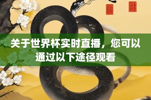 关于世界杯实时直播，您可以通过以下途径观看