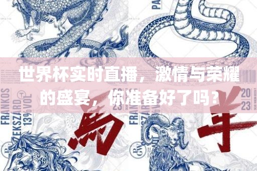 世界杯实时直播，激情与荣耀的盛宴，你准备好了吗？