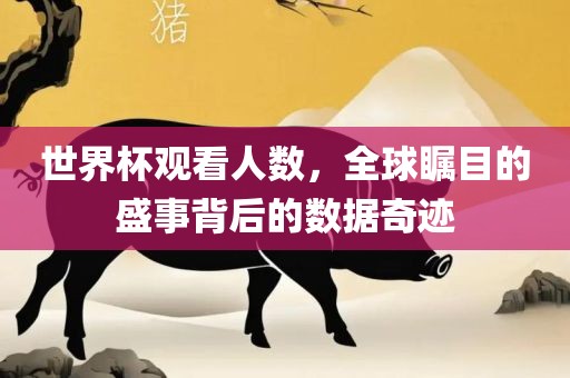 世界杯观看人数，全球瞩目的盛事背后的数据奇迹