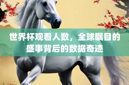 世界杯观看人数，全球瞩目的盛事背后的数据奇迹
