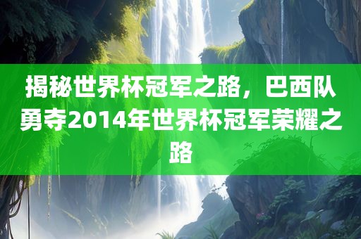 揭秘世界杯冠军之路，巴西队勇夺2014年世界杯冠军荣耀之路