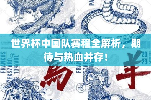 世界杯中国队赛程全解析，期待与热血并存！