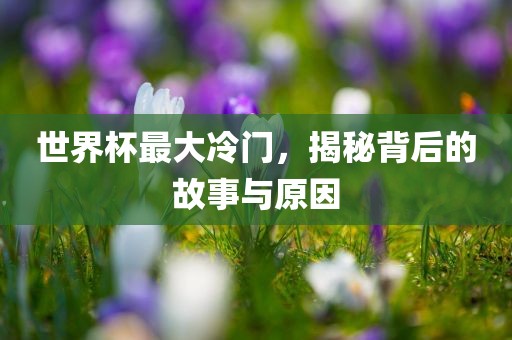 世界杯最大冷门，揭秘背后的故事与原因