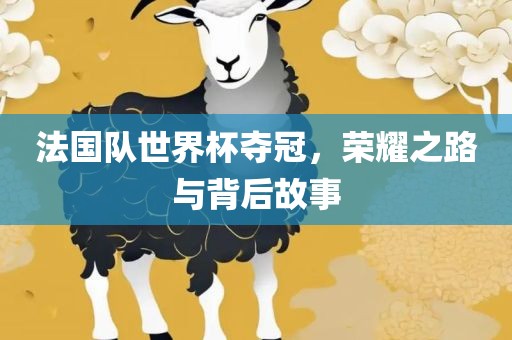 法国队世界杯夺冠，荣耀之路与背后故事