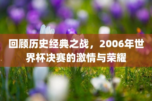 回顾历史经典之战，2006年世界杯决赛的激情与荣耀