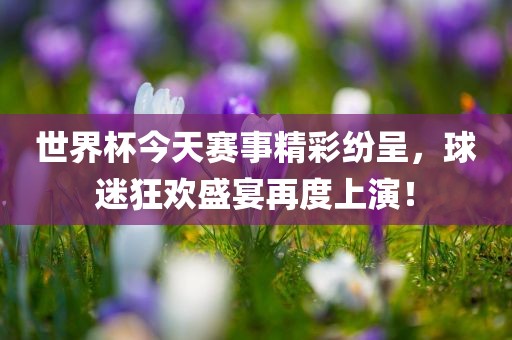 世界杯今天赛事精彩纷呈，球迷狂欢盛宴再度上演！