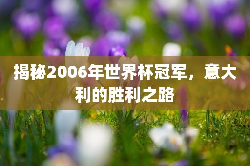 揭秘2006年世界杯冠军，意大利的胜利之路