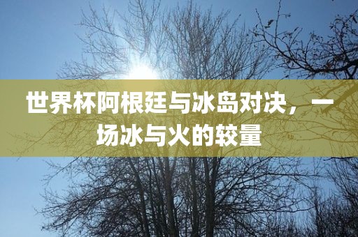 世界杯阿根廷与冰岛对决，一场冰与火的较量
