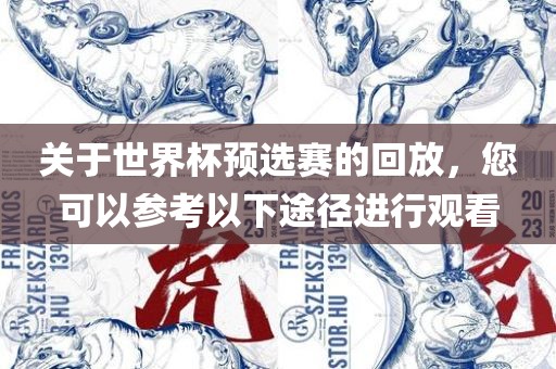 关于世界杯预选赛的回放，您可以参考以下途径进行观看