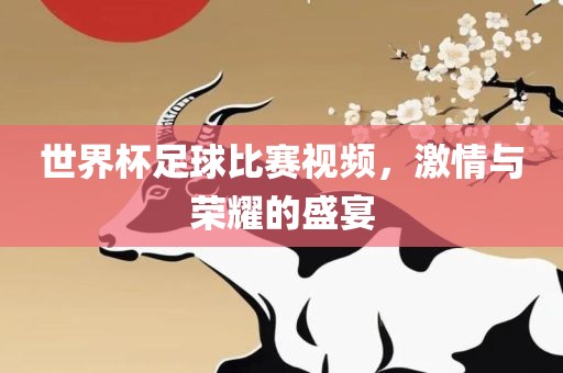 世界杯足球比赛视频，激情与荣耀的盛宴