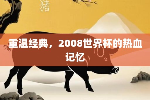 重温经典，2008世界杯的热血记忆