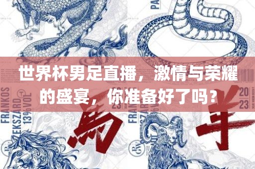 世界杯男足直播，激情与荣耀的盛宴，你准备好了吗？