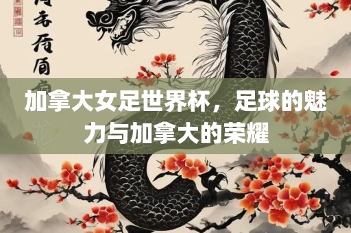 加拿大女足世界杯，足球的魅力与加拿大的荣耀