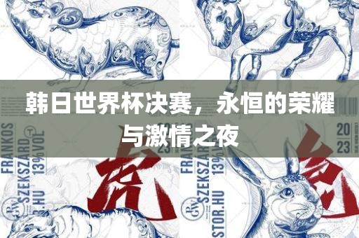 韩日世界杯决赛，永恒的荣耀与激情之夜