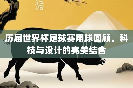 历届世界杯足球赛用球回顾，科技与设计的完美结合