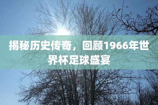 揭秘历史传奇，回顾1966年世界杯足球盛宴