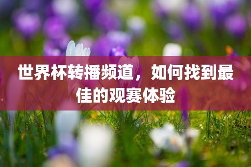 世界杯转播频道，如何找到最佳的观赛体验