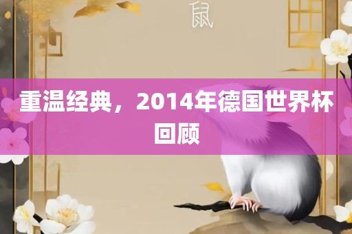 重温经典，2014年德国世界杯回顾
