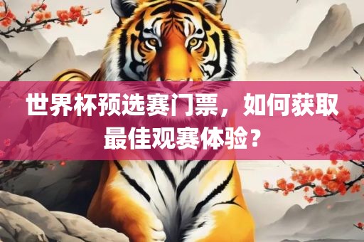 世界杯预选赛门票，如何获取最佳观赛体验？
