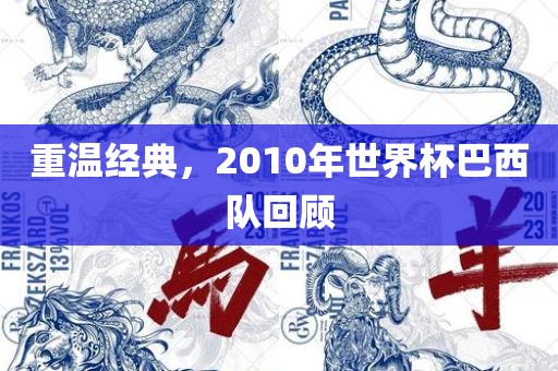 重温经典，2010年世界杯巴西队回顾