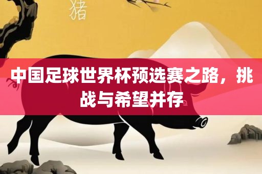 中国足球世界杯预选赛之路，挑战与希望并存