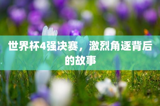 世界杯4强决赛，激烈角逐背后的故事