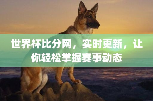 世界杯比分网，实时更新，让你轻松掌握赛事动态
