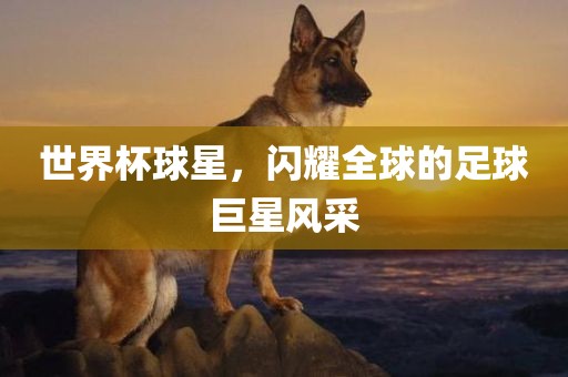 世界杯球星，闪耀全球的足球巨星风采