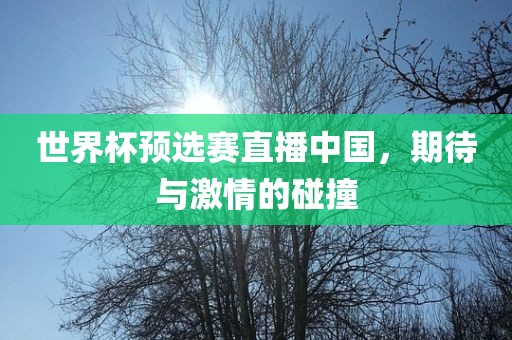 世界杯预选赛直播中国，期待与激情的碰撞