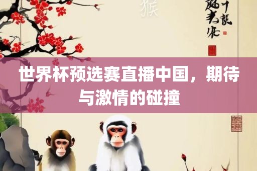 世界杯预选赛直播中国，期待与激情的碰撞