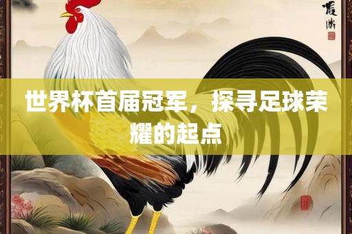 世界杯首届冠军，探寻足球荣耀的起点