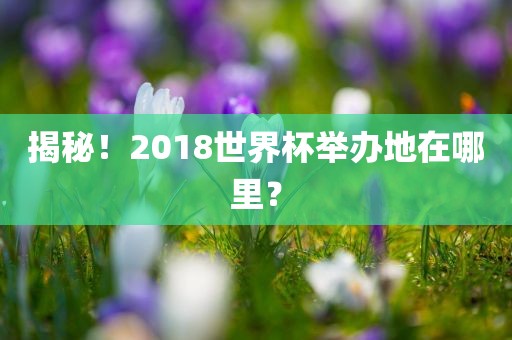揭秘！2018世界杯举办地在哪里？