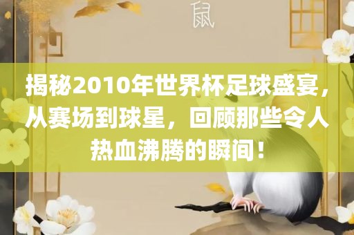 揭秘2010年世界杯足球盛宴，从赛场到球星，回顾那些令人热血沸腾的瞬间！
