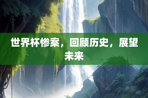 世界杯惨案，回顾历史，展望未来