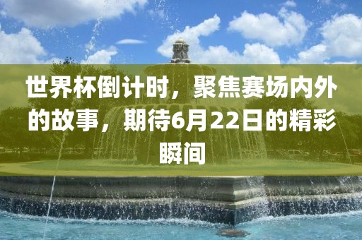 世界杯倒计时，聚焦赛场内外的故事，期待6月22日的精彩瞬间