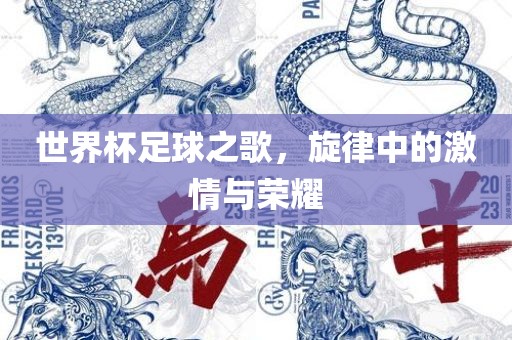 世界杯足球之歌，旋律中的激情与荣耀