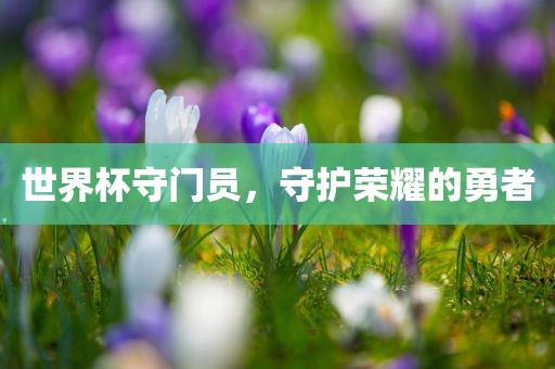 世界杯守门员，守护荣耀的勇者