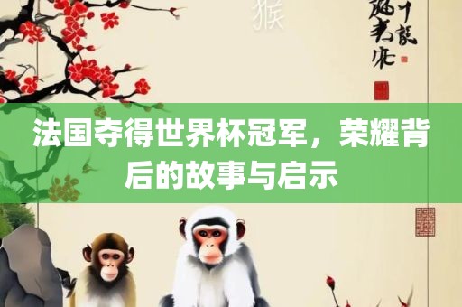 法国夺得世界杯冠军，荣耀背后的故事与启示