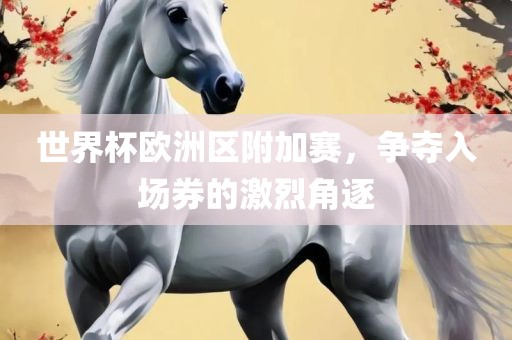 世界杯欧洲区附加赛，争夺入场券的激烈角逐