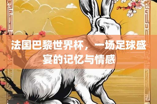 法国巴黎世界杯，一场足球盛宴的记忆与情感