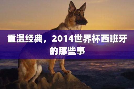 重温经典，2014世界杯西班牙的那些事