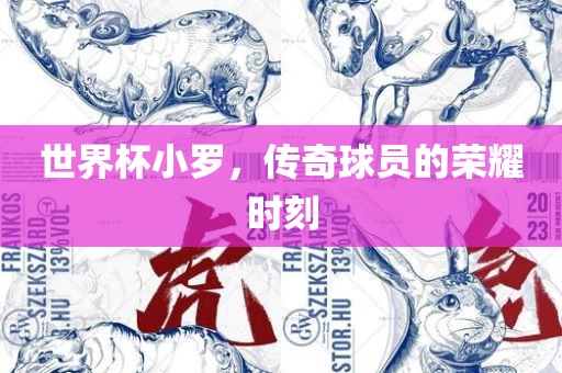 世界杯小罗，传奇球员的荣耀时刻