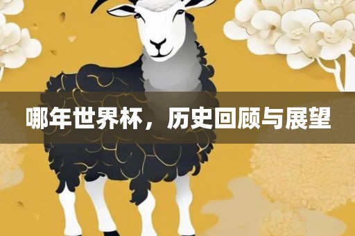 哪年世界杯，历史回顾与展望