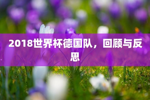 2018世界杯德国队，回顾与反思