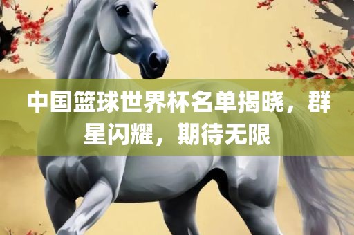 中国篮球世界杯名单揭晓，群星闪耀，期待无限