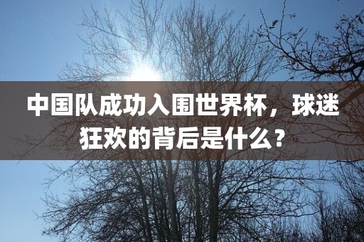 中国队成功入围世界杯，球迷狂欢的背后是什么？