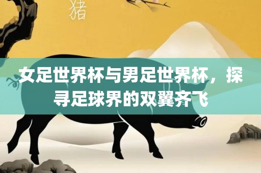 女足世界杯与男足世界杯，探寻足球界的双翼齐飞