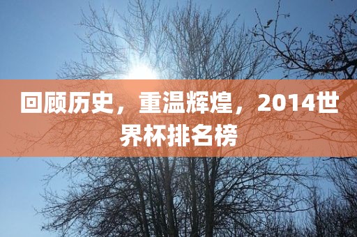 回顾历史，重温辉煌，2014世界杯排名榜
