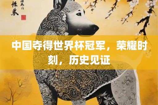 中国夺得世界杯冠军，荣耀时刻，历史见证